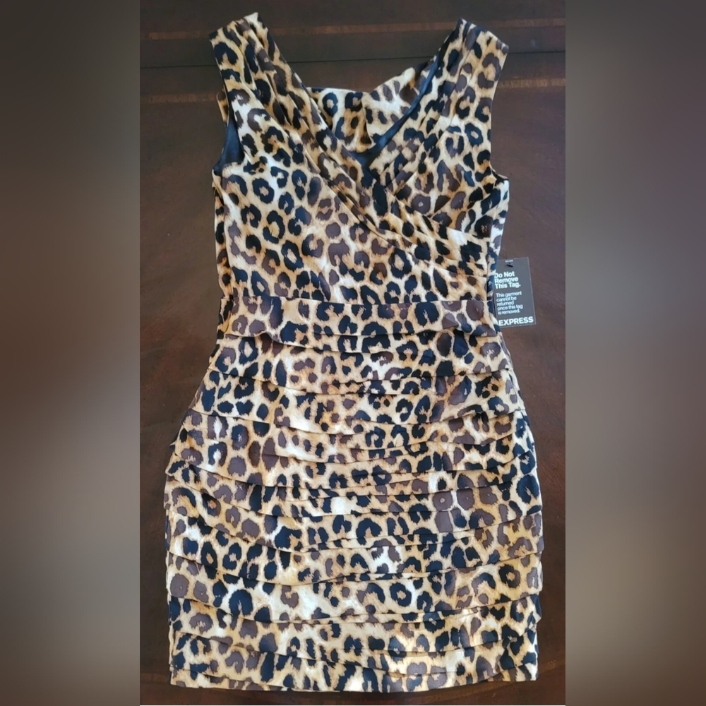 Women's Sleeveless Dress, Express Brand, Size 4.